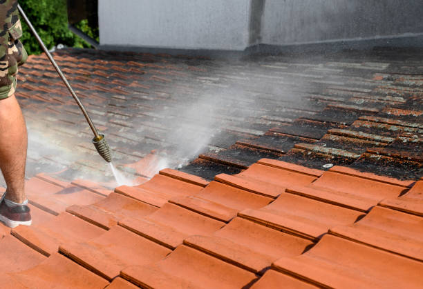 Why Choose Our Certified Pressure Washing Experts for Your Project Needs in Waikele, HI?