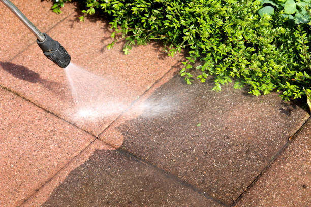 Best Exterior Home Cleaning  in Waikele, HI
